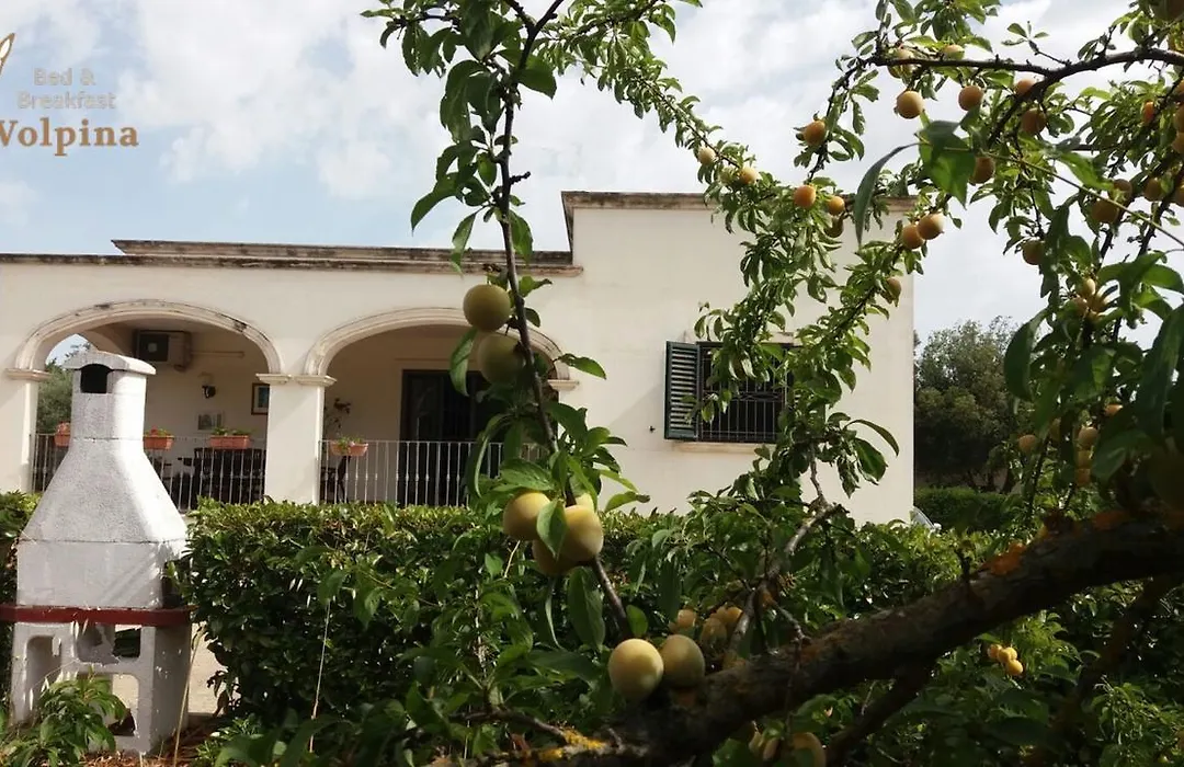 La Volpina-1